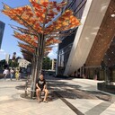  ,   , 40 ,   ,   , c 