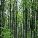  ,   Ashot, 25 ,   ,   , c 