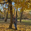 ���������� ������, ���� ������� �������, 43 ����, ������������ ��� ������, ����� � ���������, c�������� ���������