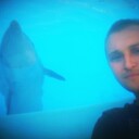 ���������� ��������, ���� ������� ������, 33 ����, ������������ ��� ������, ����� � ���������, c�������� ���������