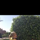 ���������� �����-���������, ���� ������� ��������, 42 ����, ������������ ��� ������, ����� � ���������, c�������� ���������