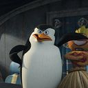 ���������� ��������������, ���� ������� ����������, 37 ���, ������������ ��� ������, ����� � ���������, c�������� ���������