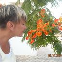  ,   , 60 ,   ,   , c , 