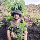 ���������� ������, ���� ������� ������, 37 ���, ������������ ��� ������, ����� � ���������, c�������� ���������