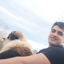  ,   , 29 ,  