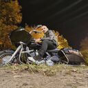 ���������� ������, ���� ������� ���, 44 ����, ������������ ��� ������, ����� � ���������