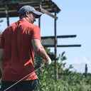 ���������� �������, ���� ������� ������, 37 ���, ������������ ��� ������, ����� � ���������, c�������� ���������, ���������