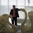 ���������� ���������� �����, ���� ������� ������, 37 ���, ������������ ��� ������, ���������