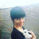 ���������� ����, ���� ������� �����, 28 ���, ������������ ��� ������, ����� � ���������