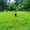  ,   , 19 ,   ,   , c 