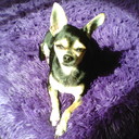  ,   Valerij, 47 ,   ,   , c 