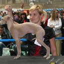 ���������� �����������, ���� ������� �����, 53 ����, ������������ ��� ������, ����� � ���������, c�������� ���������