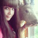 ���������� ����, ���� ������� �����, 29 ���, ������������ ��� ������, ����� � ���������, c�������� ���������