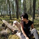 ���������� �����-���������, ���� ������� �������, 50 ���, ������������ ��� ������, ����� � ���������