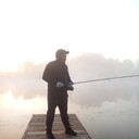 ���������� ����������, ���� ������� ��������, 41 ���, ������������ ��� c�������� ���������