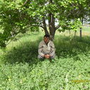  ,   Ishxan, 38 ,  