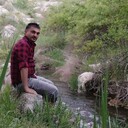 ���������� ����������, ���� ������� ������, 41 ���, ������������ ��� ������, ����� � ���������