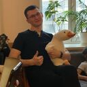 ���������� ������, ���� ������� ��������, 28 ���, ������������ ��� ������, ����� � ���������