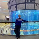 ���������� ������, ���� ������� �����, 63 ����, ������������ ��� c�������� ���������, ���������