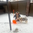  ,   , 35 ,   ,   , c , 