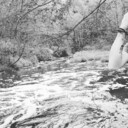 ���������� ������� ��������, ���� ������� ���������, 37 ���, ������������ ��� ����� � ���������, c�������� ���������