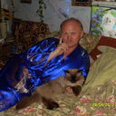  ,   , 61 ,   