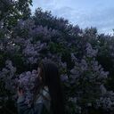 ���������� �����, ���� ������� ����, 21 ���, ������������ ��� ������, ����� � ���������