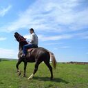 ���������� ������-��-����, ���� ������� �����, 34 ����, ������������ ��� ������, ����� � ���������