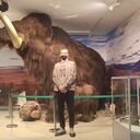 ���������� ������������, ���� ������� ����������, 29 ���, ������������ ��� ������, ����� � ���������