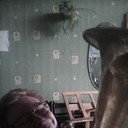  ,   , 26 ,   ,   , c 