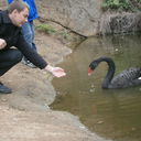 ���������� ����, ���� ������� Lexxfu, 45 ���, ������������ ��� ������, ����� � ���������, c�������� ���������