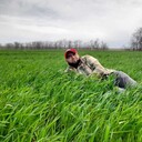 ���������� �����, ���� ������� ���, 32 ����, ������������ ��� ������, ����� � ���������