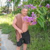  -,   , 54 ,   ,   , c 