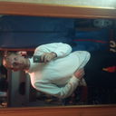 ���������� ������, ���� ������� DeniS, 43 ����, ������������ ��� ������, ���������