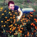 ���������� ������, ���� ������� �������, 44 ����, ������������ ��� ����� � ���������, c�������� ���������