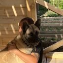 ���������� ������, ���� ������� �����, 36 ���, ������������ ��� ������, ����� � ���������