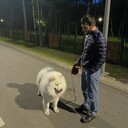 ���������� ���������, ���� ������� ���, 29 ���, ������������ ��� ������, ����� � ���������, c�������� ���������