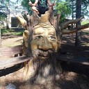  ,   , 35 ,   ,   , c , 