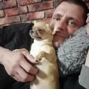  ,   , 41 ,   ,   
