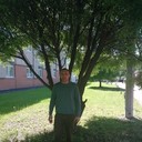 ���������� �����, ���� ������� ����, 37 ���, ������������ ��� ������, ����� � ���������, c�������� ���������, ���������