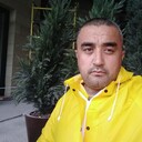 ���������� ���������, ���� ������� ��������, 43 ����, ������������ ��� ������, ����� � ���������