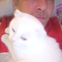 ���������� ��������, ���� ������� Albert, 58 ���, ������������ ��� ����� � ���������, c�������� ���������