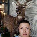 ���������� �����������, ���� ������� ������, 26 ���, ������������ ��� ������, ����� � ���������