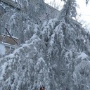 ���������� �����������, ���� ������� �������, 32 ����, ������������ ��� ������, ����� � ���������, c�������� ���������