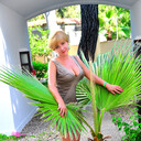 ���������� ����, ���� ������� ����, 48 ���, ������������ ��� ������