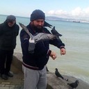 ���������� ����������, ���� ������� ������, 45 ���, ������������ ��� ������, ����� � ���������, c�������� ���������