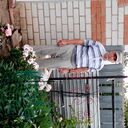  ,   , 70 ,   c 