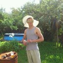  ,   NEK, 33 ,   ,   , c 