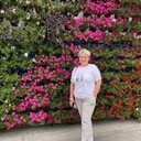 ���������� ������, ���� ������� �������, 50 ���, ������������ ��� ������, ����� � ���������, c�������� ���������