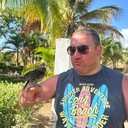 ���������� ������, ���� ������� �����, 39 ���, ������������ ��� ������, ����� � ���������